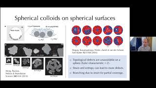 CFTC seminar: Colloids on curved surfaces: nucleation, migration and frustration