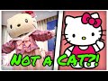 Sanrio Build A Bear TikTok Compilation