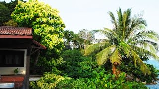 Breathtaking seaside hotel in Thailand practices radical reuse, grows 100% of its produce