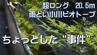 ちょっとした“事件”　超ロング雨どい小川ビオトープ⑥