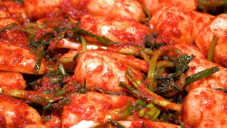 [Korean Food] Ponytail Kimchi (Chong-gak Kimchi)