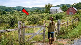 She Inherited an Apple Farm From a Woman She Never Met — What She Found There Was Priceless