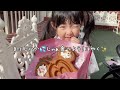 【子連れディズニーランド】1歳0ヶ月と4歳と朝から夜までの完全密着vlog disneyland