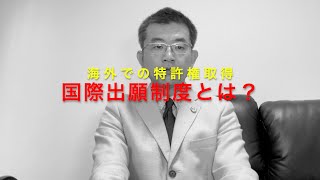 国際出願制度とは？