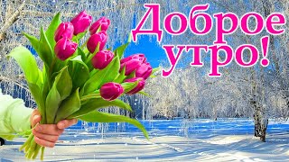 Доброе февральское утро! Волшебного дня! Музыкальная открытка.