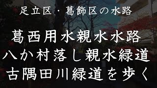 【4K撮影・全徒歩】足立区・葛飾区の水路「葛西用水親水水路」「八か村落し親水緑道」「古隅田川緑道」を歩く