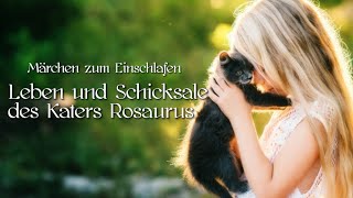 Geschichte zum Einschlafen: Leben und Schicksale des Katers Rosaurus | geschichte von Amalie Winter