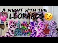 Beanie Boo Studios - A Night With The Leopards (Leopard Family Ep2)