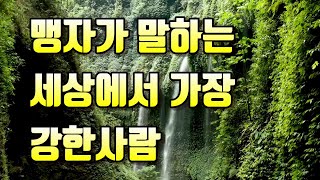 좋은글 - 맹자가 말하는 세상에서 가장 강한사람