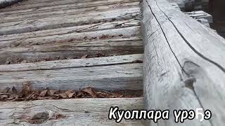 Куоллара үрэҕэ. 15.05.23.