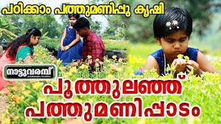 പൂത്തുലഞ്ഞ് പത്തുമണിപ്പാടം; പഠിക്കാം പത്തുമണിപ്പൂകൃഷി | 10 o'clock plants | Portulaca | NATTUVARAMBU