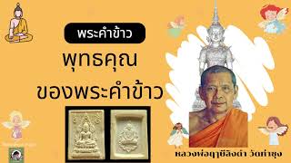 พุทธคุณของพระคำข้าว หลวงพ่อฤาษีลิงดำ วัดท่าซุง(เสียงหลวงพ่อ)