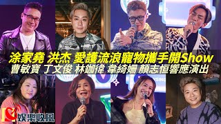 【娛樂收風】涂家堯 洪杰愛護流浪寵物攜手開Show，曹敏寶 丁文俊 林鉫徫 韋綺姍 顏志恒響應演出