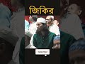 তাহেরির পাগলা জিকির আল্লামা গিয়াসউদ্দিন তাহেরী জিকির giasuddin taheri taheri new zikir