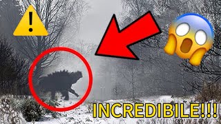 ANIMALI incredibili trovati a CHERNOBYL 😨