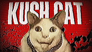 ¿HAS VISTO A ESTE GATO? || La historia de kush cat