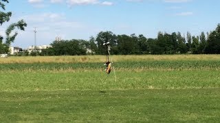 Align Gpro flybarless system prototype, first 3D test flight by Luca Pescante