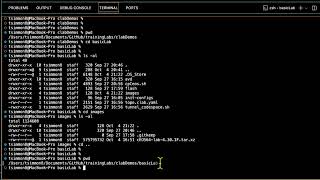 Upload Arista cEOS Image to Codespaces with GitHub CLI