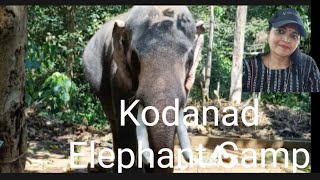 @ kodanad Elephant Camp @PrithviVlogs1961