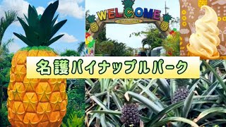 沖縄 | 名護パイナップルパーク🍍