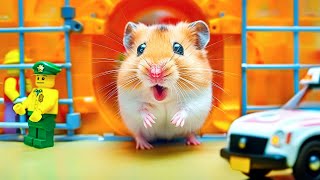 🐹 Hamster Escapes the Water Prison Maze 🌊 Hamster Maze