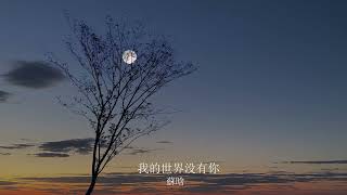 蘇晗 - 我的世界沒有你【高音質 | 動態歌詞】♫『曾經現在未來的差距，是我的世界沒有你。』