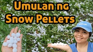 Umulan ng Snow Pellets  /  Graupel #SnowPellets #Graupel #pinayinaustria  🇵🇭🇦🇹 #AngecorVlogs