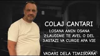 Vadari de la Timișoara - Colaj  Osana amin Osana Laudime te avel o del Astăzi va curge apă vie