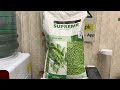 Peas seed supreme | Certus Seed | 60 to 65 days maturty | evyol group | Kissan Ghar | peas farming