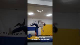 트릭킹 파쿠르 기술 스쿳-하우스턴 단계별 연습하는법(재밌어GYM) #파쿠르 #트릭킹 #하우스턴 #cheatgainer