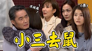 願望｜EP113預告 世賢找上蜜亞...珍妮下跪求麗紅自首？阿嬤親自解決小三大戰美妍三百回合 Desires│ Vidol.tv