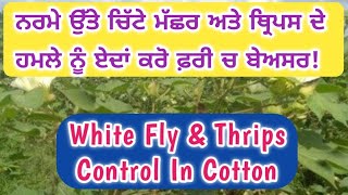 #cottonPestControl #WhiteflyControl ਨਰਮੇ ਉੱਤੇ ਚਿੱਟੇ ਮੱਛਰ ਅਤੇ ਥ੍ਰਿਪਸ ਦੇ ਹਮਲੇ ਨੂੰ ਏਦਾਂ  ਕਰੋ ਬੇਅਸਰ !