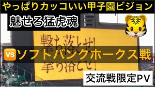 【#交流戦 限定】#阪神タイガース🆚 #ソフトバンクホークス 戦 PVビジョン  23.6.17.  #阪神甲子園球場