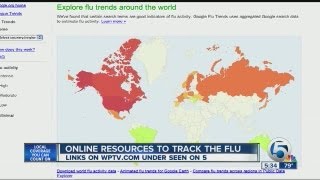 Online resources for tracking the flu