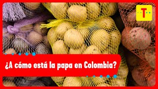 La papa, uno de los alimentos más consumidos de los hogares colombianos; ¿A cómo está?