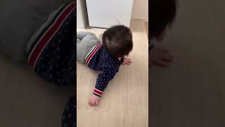 【ベビーサークル】脱出からの確保 #shorts #baby