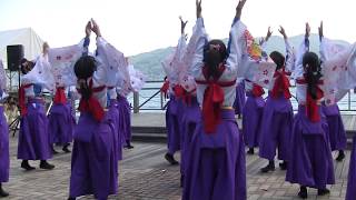 2018関門よさこい大会 しものせき馬関祭り 【山口県立大学よさこい 奄美連合萩組】様でYOSAKOI演舞