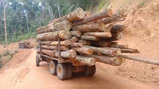 Kelantan Pahang Perak Kedah logging truck video collection [ santaiwong Malaysia ]