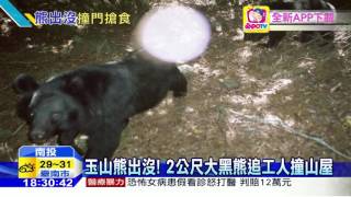 20160603 中天新聞　玉山熊出沒！2公尺大黑熊追工人撞山屋