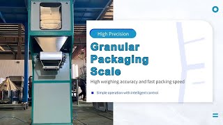Advanced 2025 Fertilizer Bagging System — Cut Labor Costs with Automated Conveyors and Palletizing!