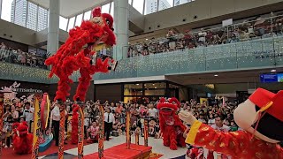 【世界獅王】新加坡藝威體育會 Singapore Yiwei Twin Lion High Poles Performance at Marina Square 26/01/25