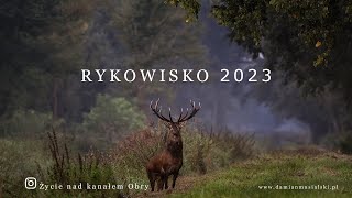 RYKOWISKO 2023 I Official Trailer I