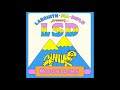 LSD Mountains Instrumental
