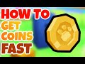 HOW TO GET COINS FAST IN PETS GO (ROBLOX)