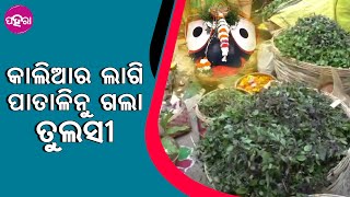 Culture Of Sonepur: ସୋନପୁର ପାତାଳି ଶ୍ରୀକ୍ଷେତ୍ରନୁ ପୁରୀ ଶ୍ରୀମନ୍ଦିରକେ ବାହାରିଲା ତୁଲସୀ ରଥ୍