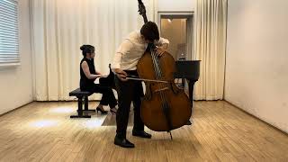 Vanhal Double bass concerto in D Major