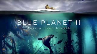 Hans Zimmer, Jacob Shea & David Fleming - The Blue Planet | Official Soundtrack