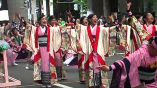 2014  新琴似天舞龍神   第23回YOSAKOIソーラン祭り