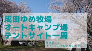 【サイト紹介】成田ゆめ牧場オートキャンプ場【花見シーズンは大混雑】