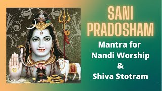 Sani Pradosham Sloka | Shiva and Nandi Sloka | Pradosham | Easy Powerful Mantras